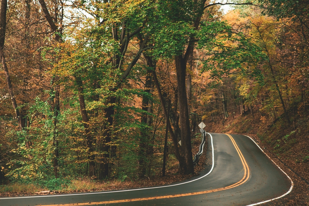 pexels-photo-1546898-1546898 Explore a serene curvy road winding through autumn woods, rich with vibrant fall colors and foliage.